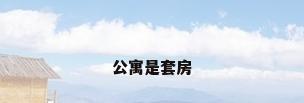 公寓是套房
