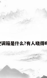 空调箱是什么?有人晓得吗?