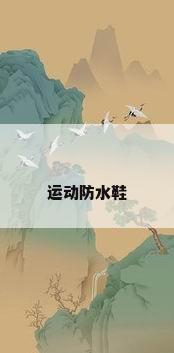 运动防水鞋