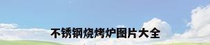 不锈钢烧烤炉图片大全