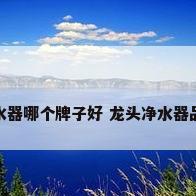 龙头净水器哪个牌子好 龙头净水器品牌推荐