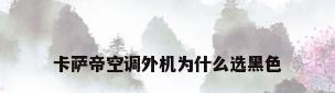 卡萨帝空调外机为什么选黑色
