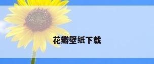 花瓣壁纸下载
