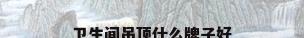 卫生间吊顶什么牌子好