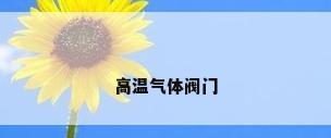 高温气体阀门