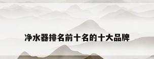 净水器排名前十名的十大品牌