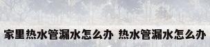 家里热水管漏水怎么办 热水管漏水怎么办