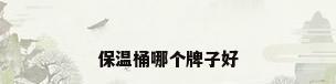 保温桶哪个牌子好