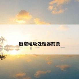 厨房垃圾处理器前景