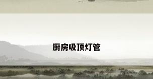 厨房吸顶灯管