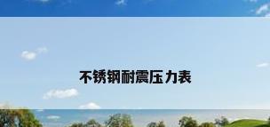 不锈钢耐震压力表