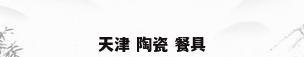天津 陶瓷 餐具
