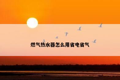 燃气热水器怎么用省电省气