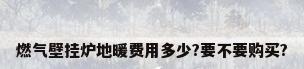 燃气壁挂炉地暖费用多少?要不要购买?