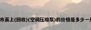 现在市面上(回收)(空调压缩泵)的价格是多少一斤呀?