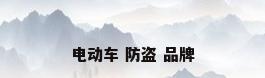 电动车 防盗 品牌
