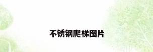 不锈钢爬梯图片