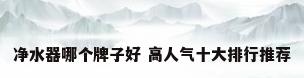 净水器哪个牌子好 高人气十大排行推荐