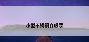 小型不锈钢自吸泵