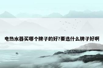电热水器买哪个牌子的好?要选什么牌子好啊
