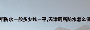 天津厕所防水一般多少钱一平,天津厕所防水怎么做效果好
