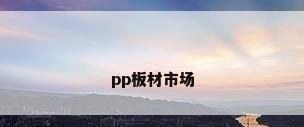 pp板材市场