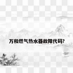 万和燃气热水器故障代码?