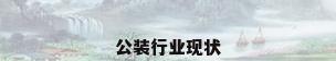公装行业现状