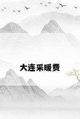 大连采暖费