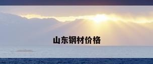山东钢材价格