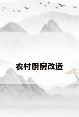 农村厨房改造