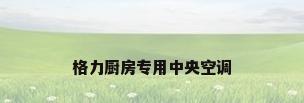格力厨房专用中央空调