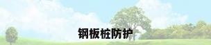 钢板桩防护