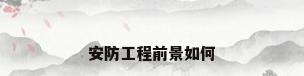 安防工程前景如何