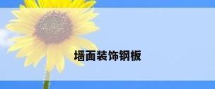 墙面装饰钢板