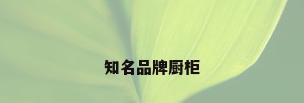 知名品牌厨柜