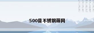 500目不锈钢筛网