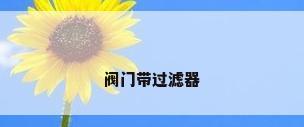阀门带过滤器