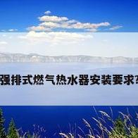 强排式燃气热水器安装要求?