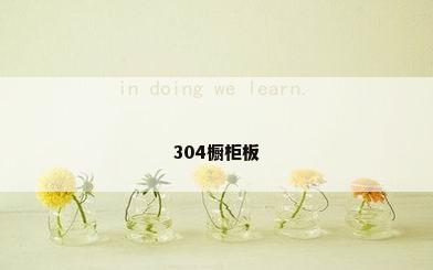 304橱柜板