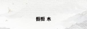 橱柜 木