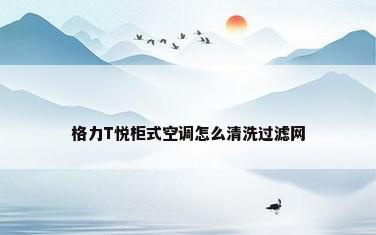格力T悦柜式空调怎么清洗过滤网