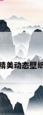精美动态壁纸
