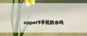 oppor9手机防水吗