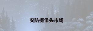 安防摄像头市场