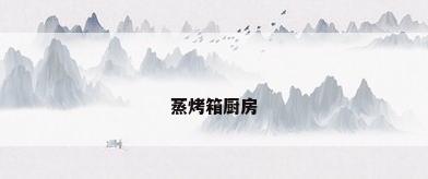 蒸烤箱厨房