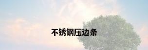 不锈钢压边条