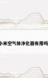 小米空气体净化器有用吗?