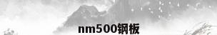 nm500钢板