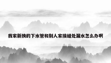 我家新换的下水管和别人家接缝处漏水怎么办啊